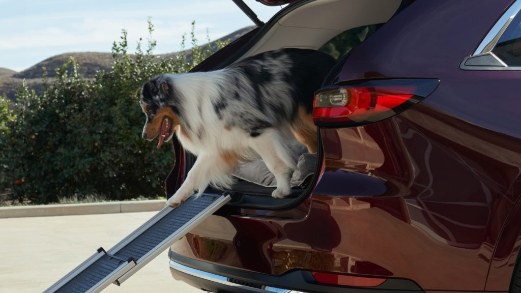 What Can I Do with a Mazda CX-90?  