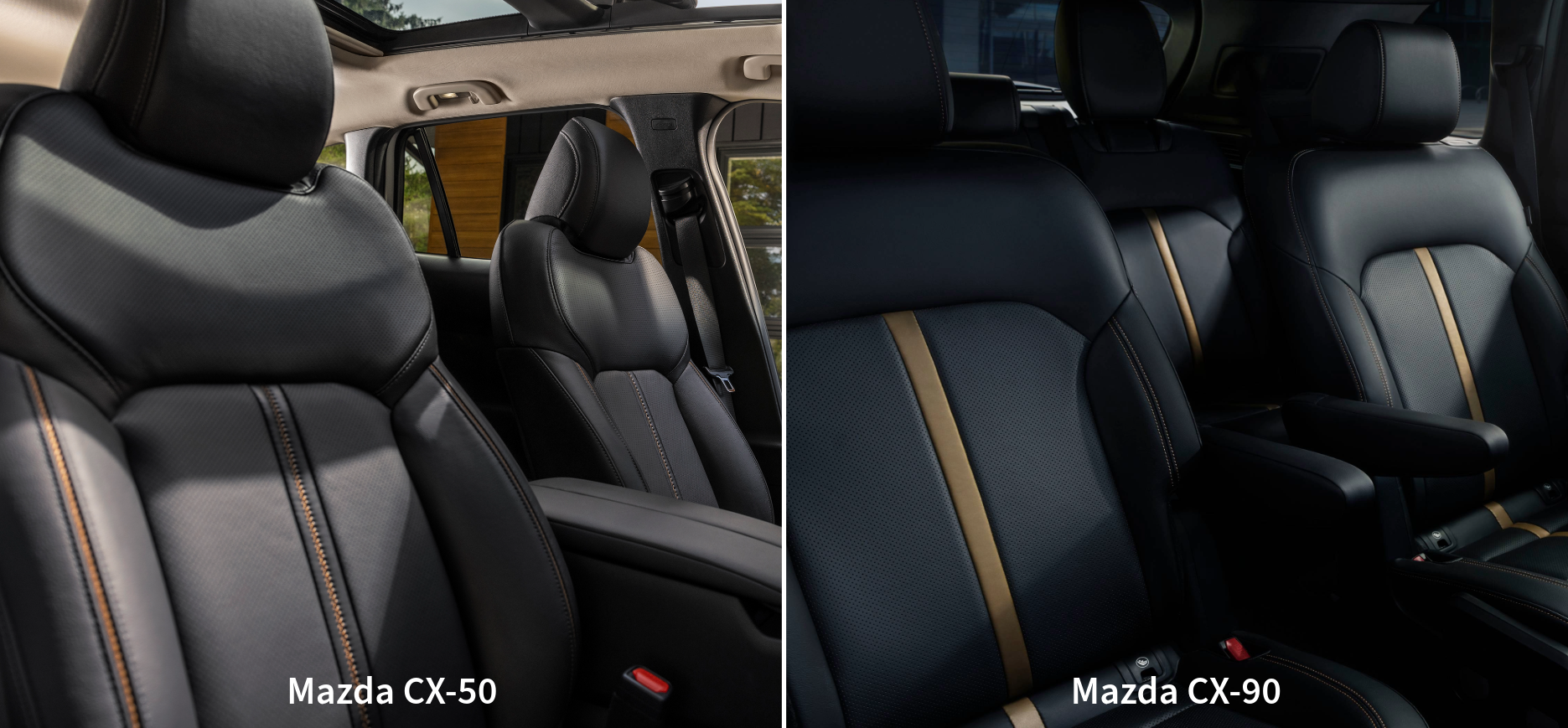 cx 50 cx 90 interior