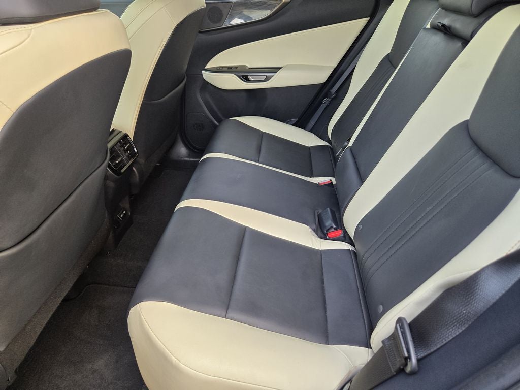 2024 Lexus NX 250 Premium