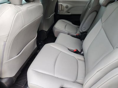 2025 Toyota Sienna XLE 8 Passenger