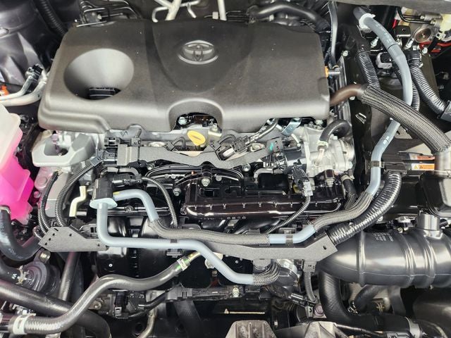 2025 Toyota Sienna XLE 8 Passenger