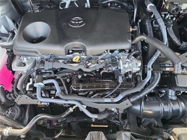 2025 Toyota Sienna Limited 7 Passenger