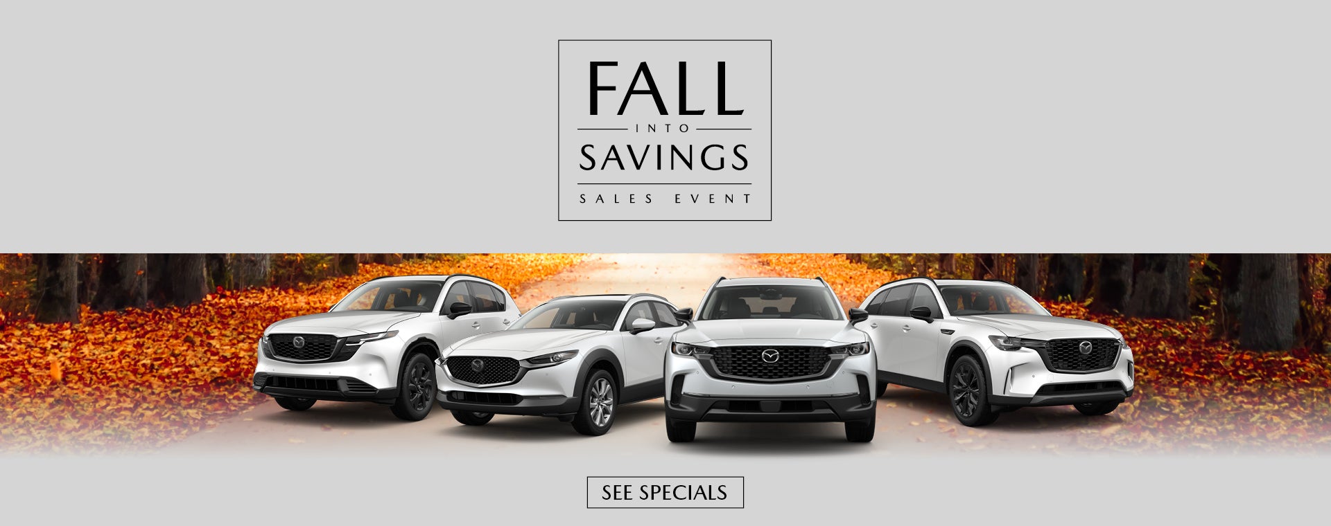 fall into savings