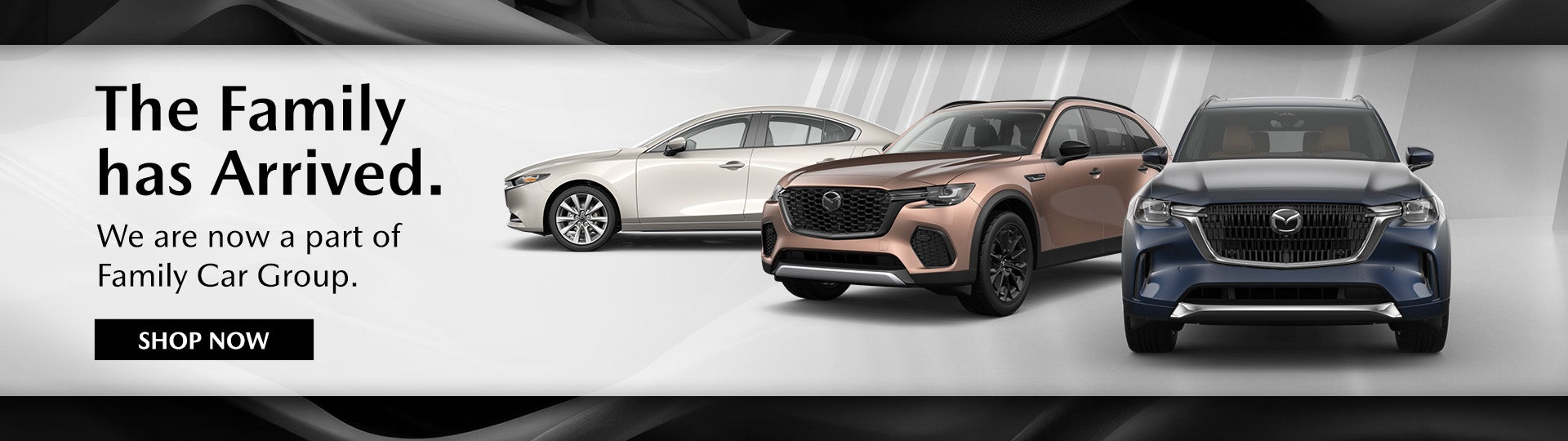 Family Car Group Mazda